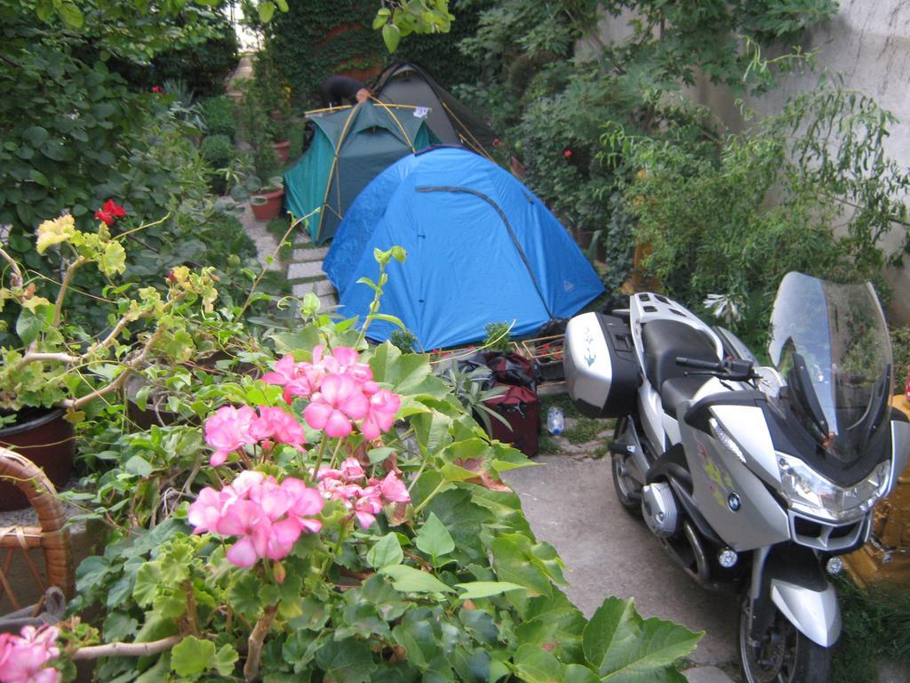 Hotel Base Camp - Urban Guerrilla Negotin Zewnętrze zdjęcie